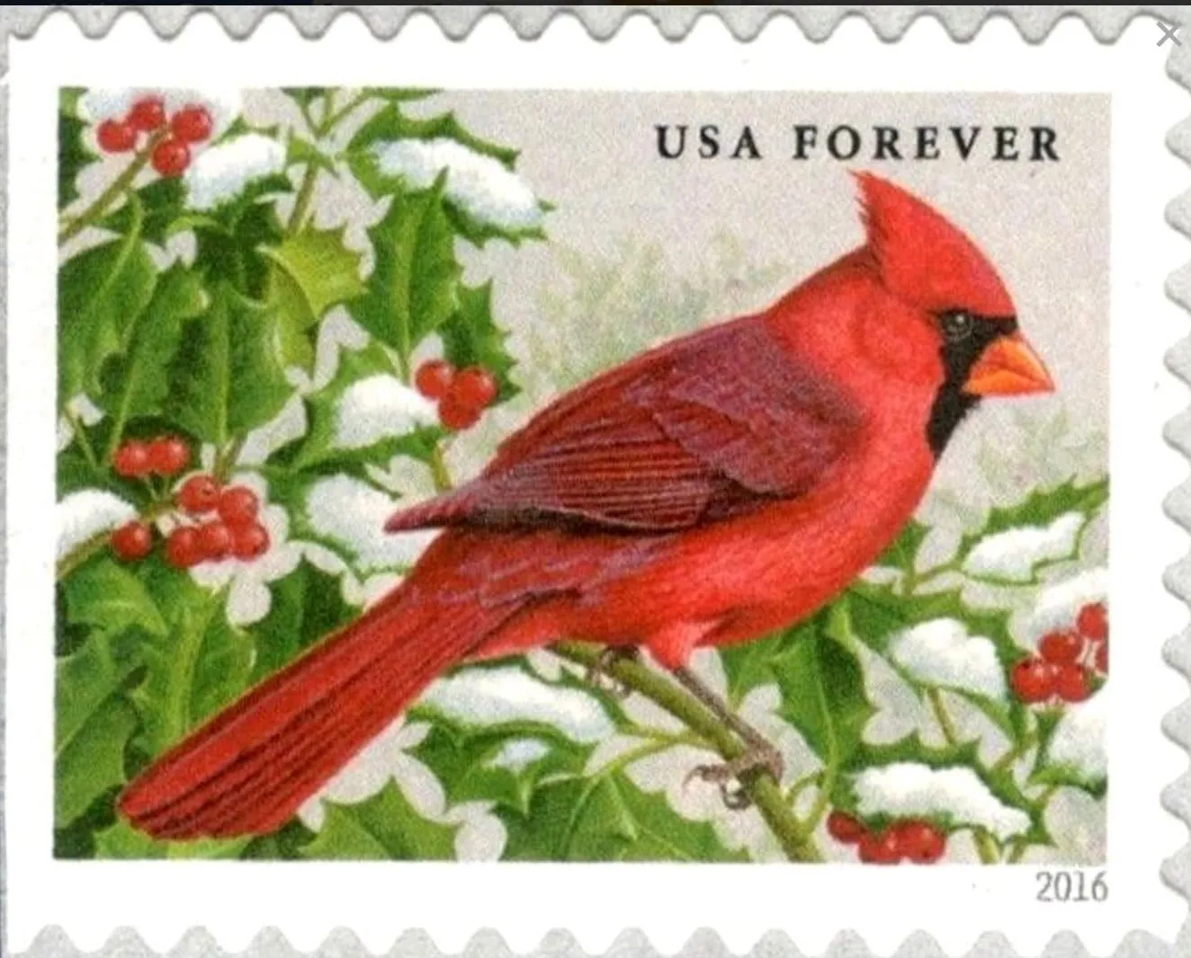 2016 Northern Cardinal - USA Stamp - Postage Stamp Earrings