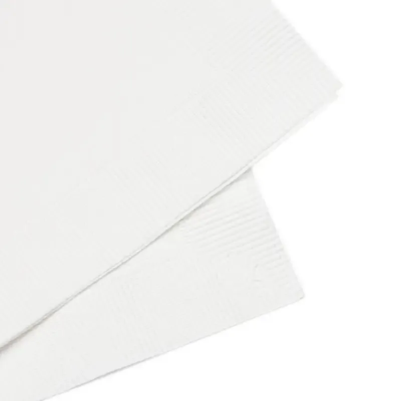 Amp Up your Party with Three Ply White Coined Napkins