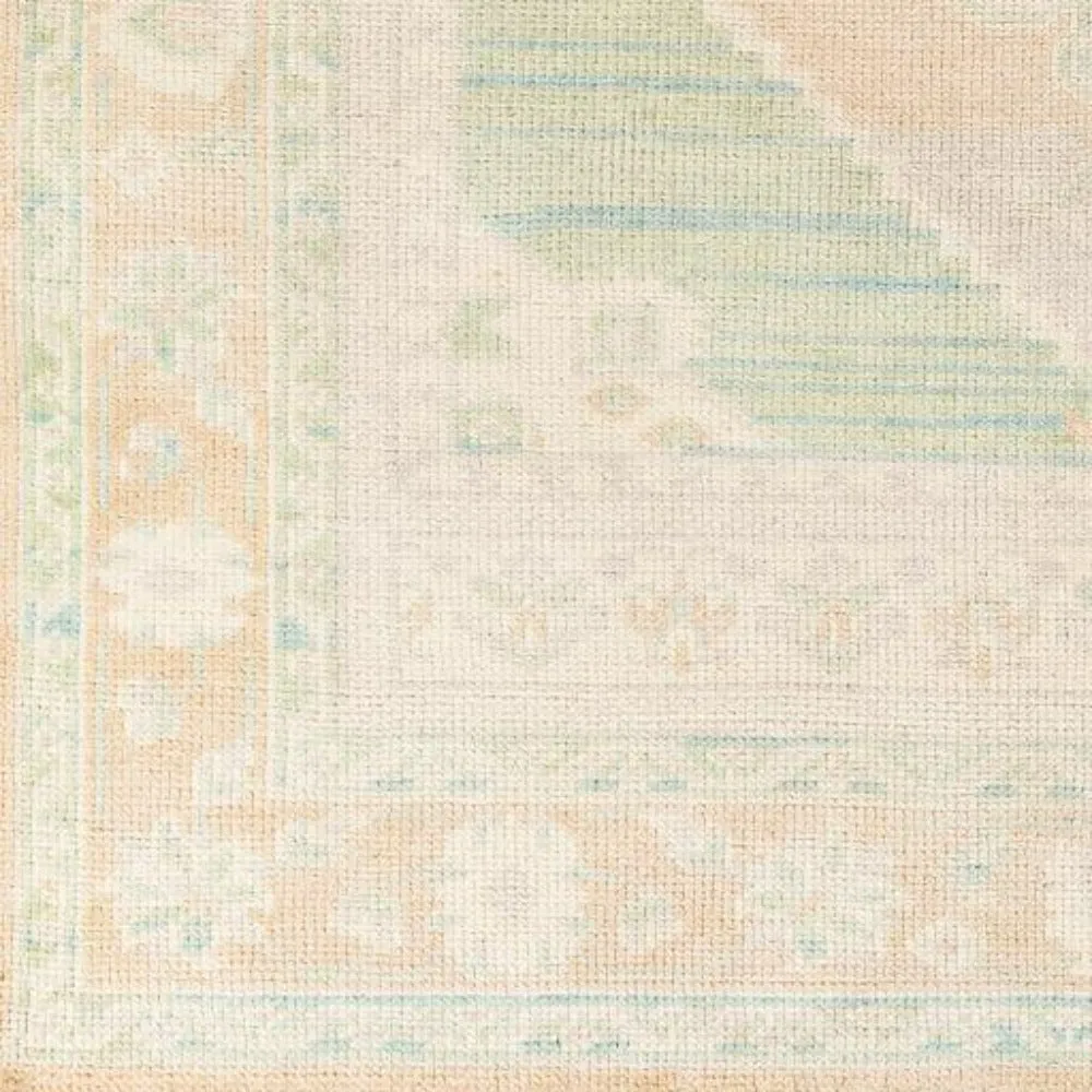 Anadolu Rug by Surya-AAU-2303