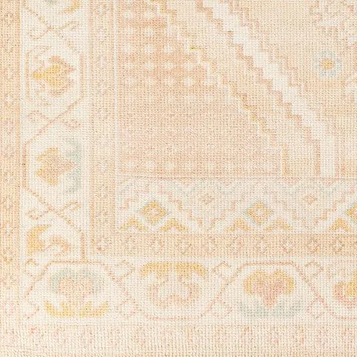 Anadolu Rug by Surya-AAU-2305