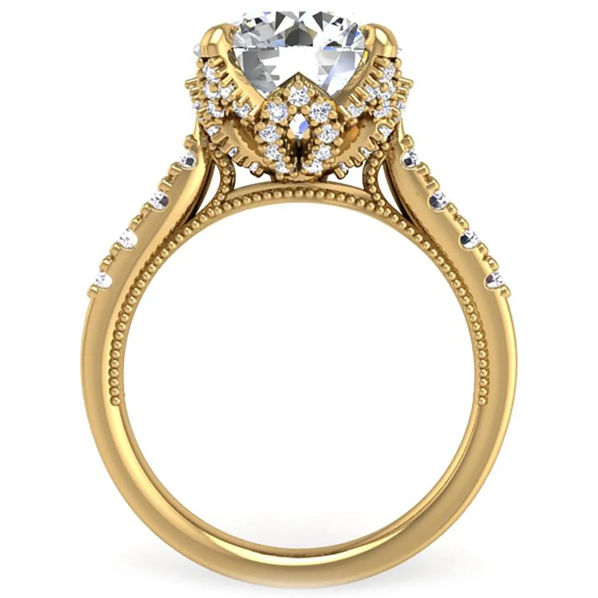 Ben Garelick Astra Galactic Head 4.0 Carat Round Diamond Engagement Ring