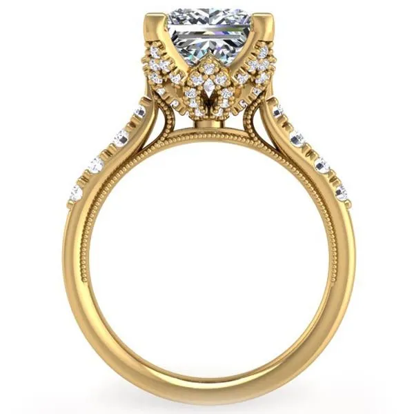 Ben Garelick Astra Galactic Head Princess Diamond Engagement Ring
