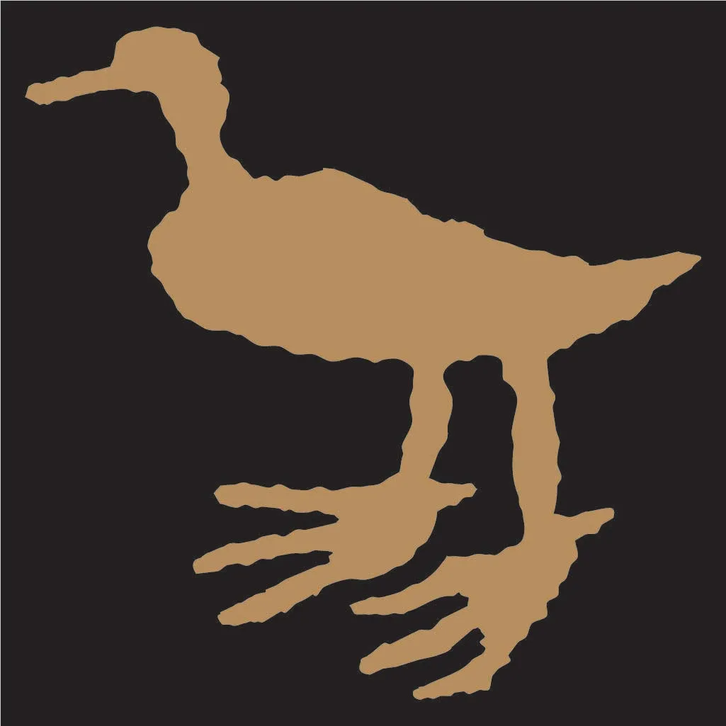 Bigfoot Duck