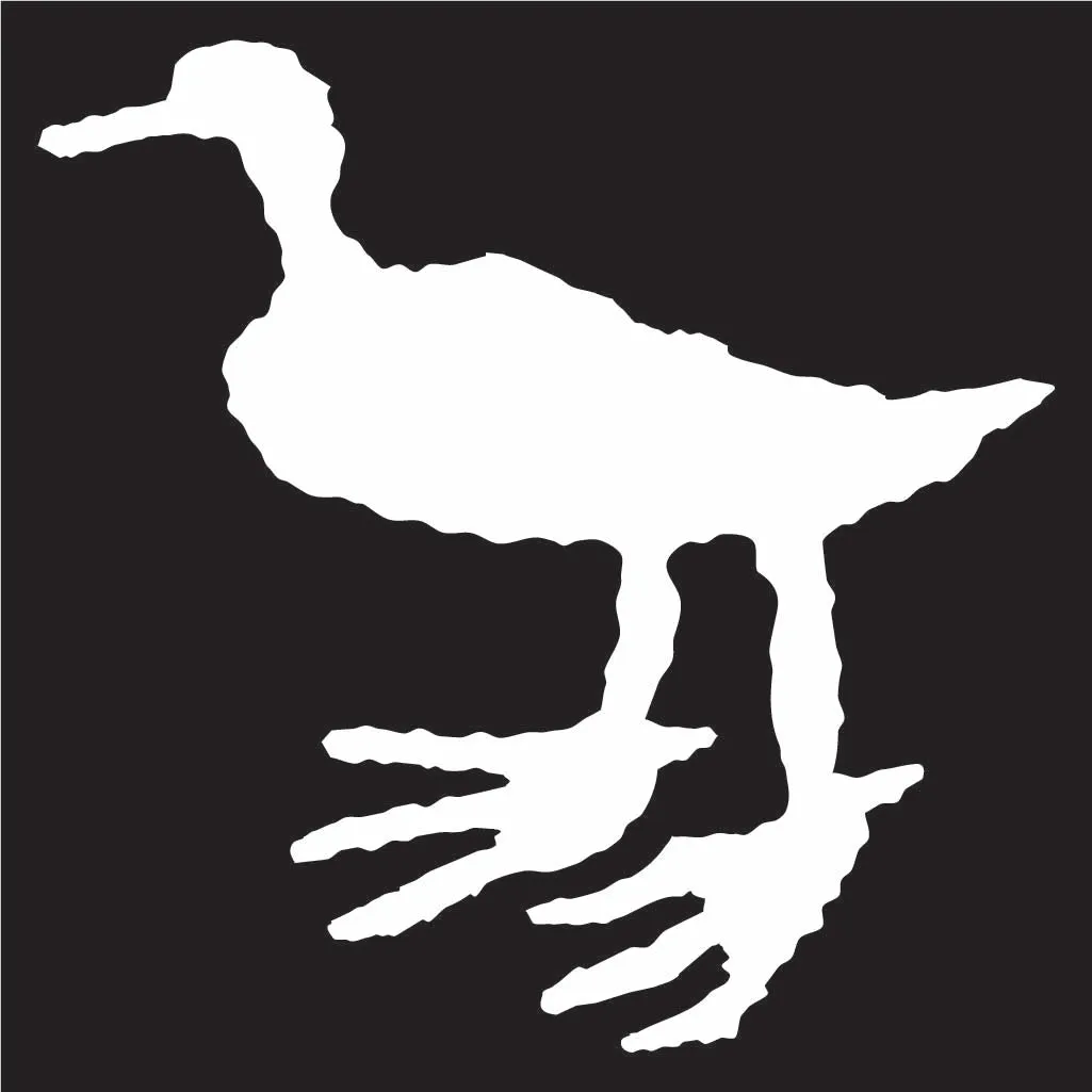 Bigfoot Duck