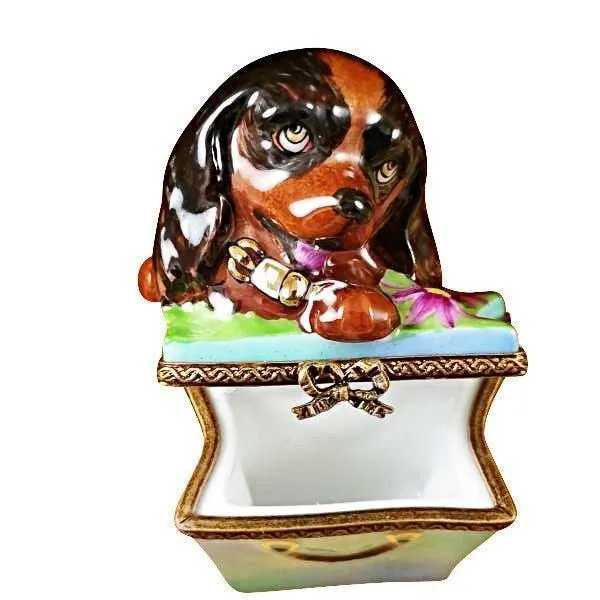 Brown Spaniel Dog in Package limoges box