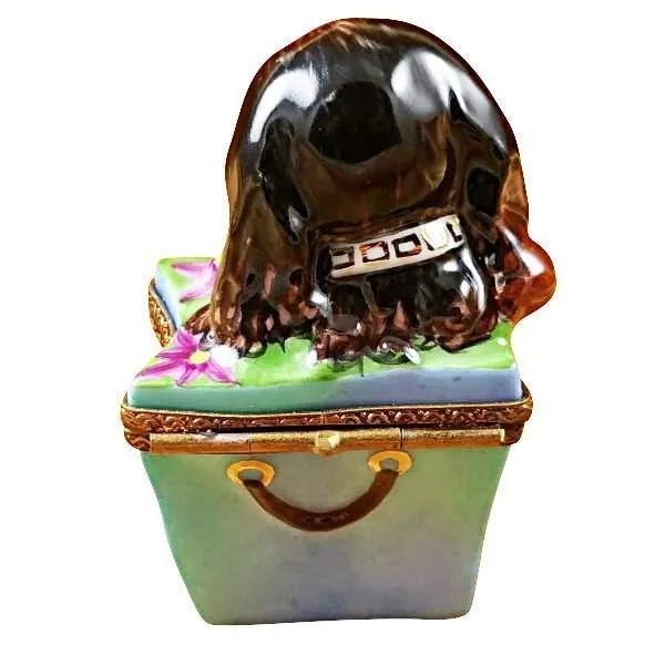 Brown Spaniel Dog in Package limoges box
