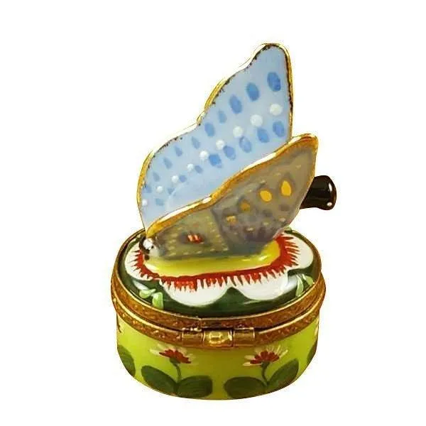 Butterfly Blue-Gold