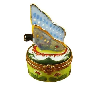 Butterfly Blue-Gold