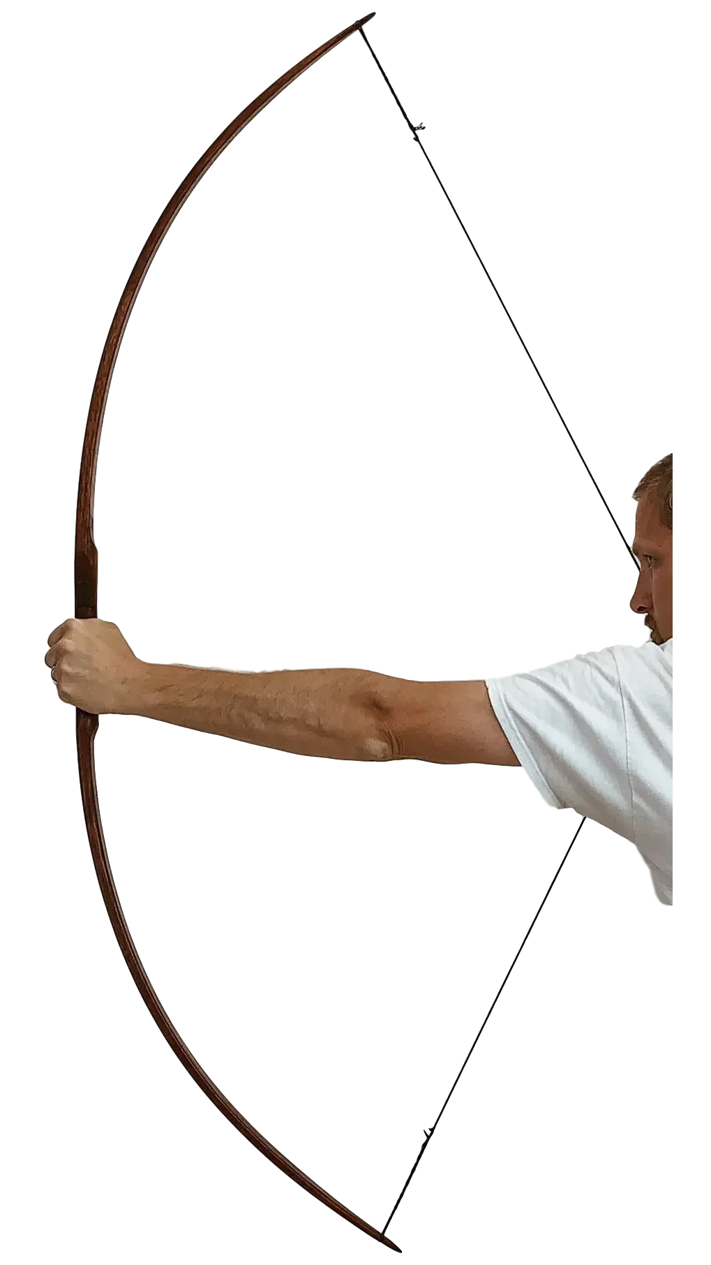 Classic Hickory Flatbow - 76"