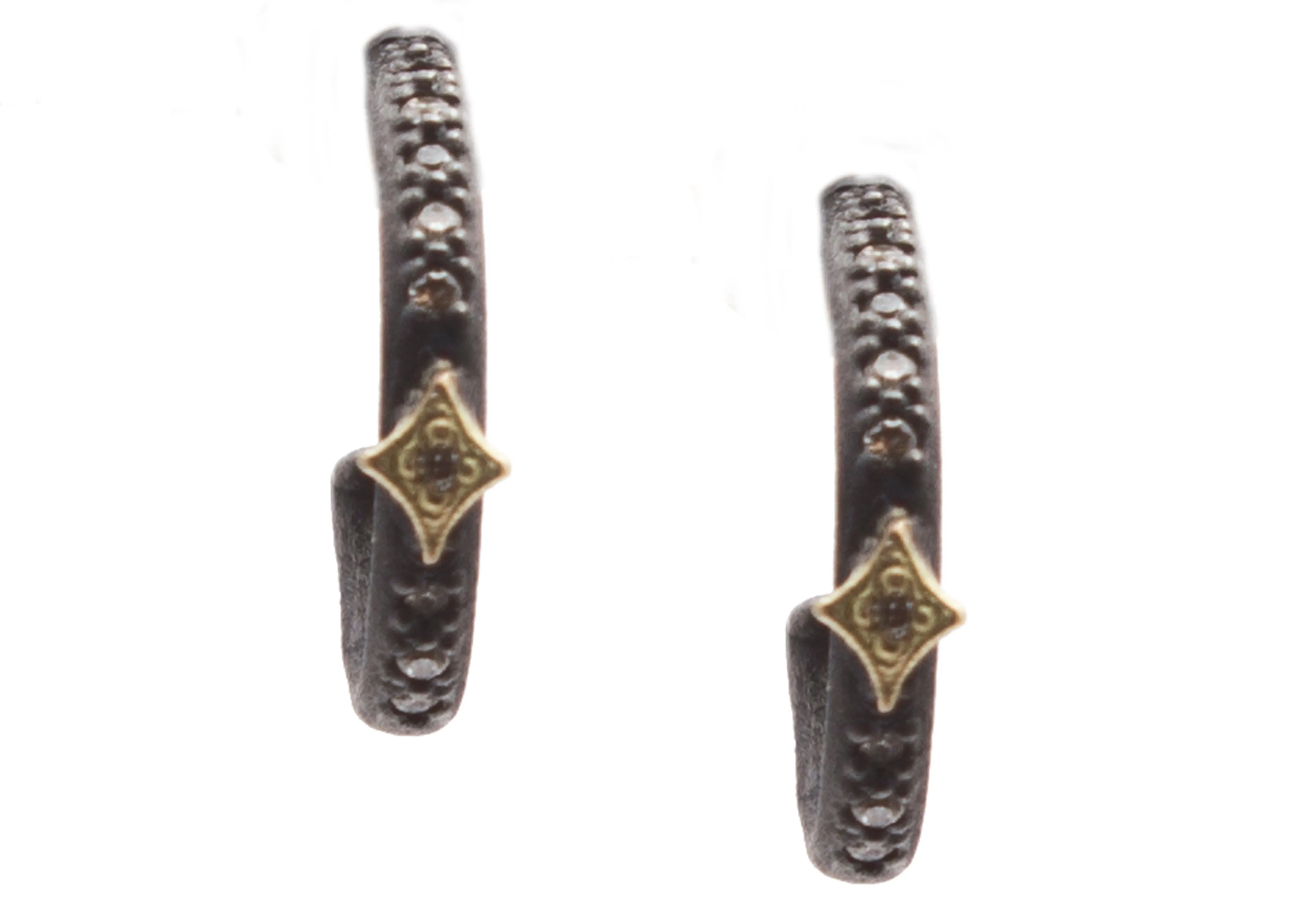 Crivelli Hoop Earrings