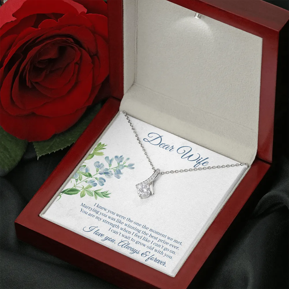 Dear Wife - I Knew You Were The One The Moment We Met! (Limited Time Offer) - Alluring Beauty Necklace