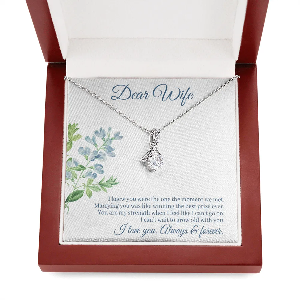 Dear Wife - I Knew You Were The One The Moment We Met! (Limited Time Offer) - Alluring Beauty Necklace