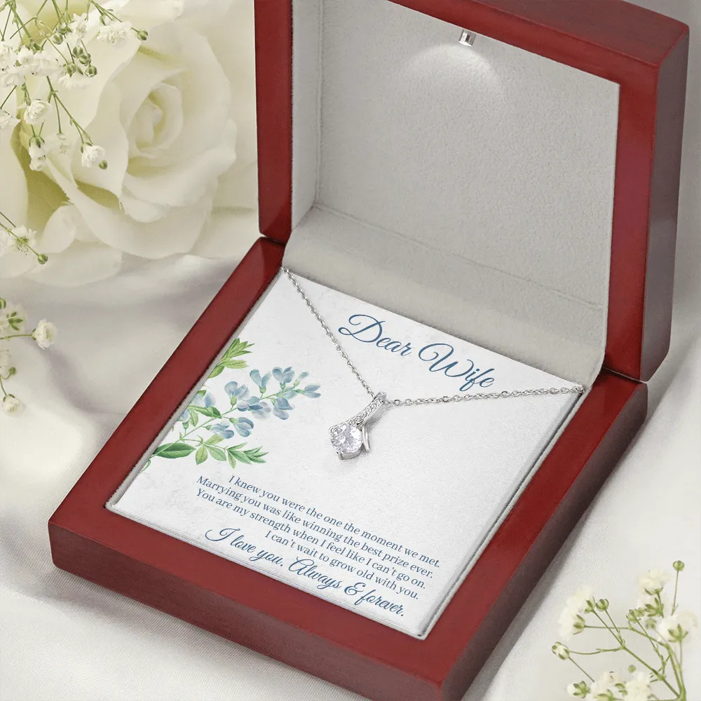 Dear Wife - I Knew You Were The One The Moment We Met! (Limited Time Offer) - Alluring Beauty Necklace
