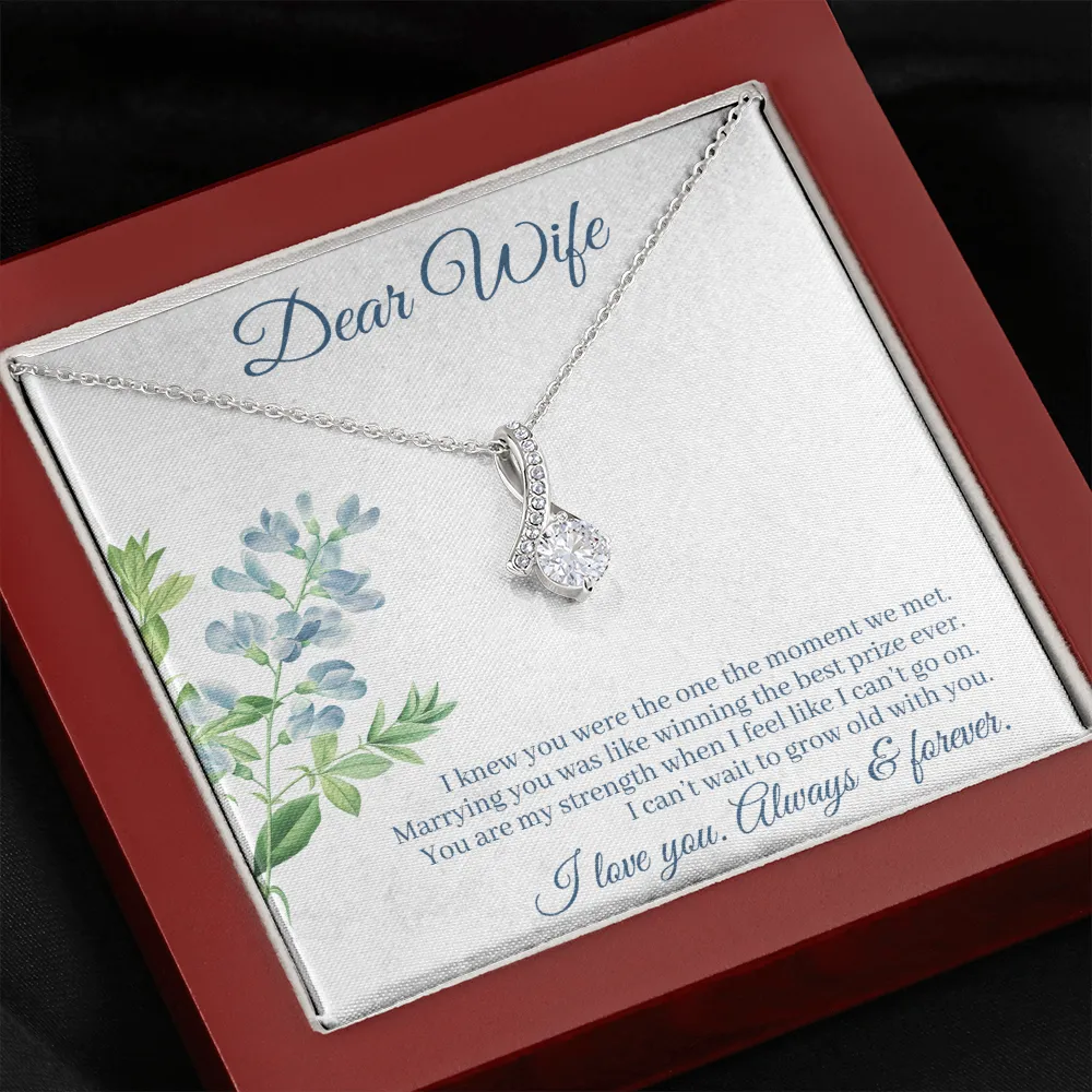 Dear Wife - I Knew You Were The One The Moment We Met! (Limited Time Offer) - Alluring Beauty Necklace
