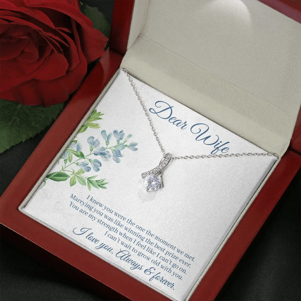 Dear Wife - I Knew You Were The One The Moment We Met! (Limited Time Offer) - Alluring Beauty Necklace