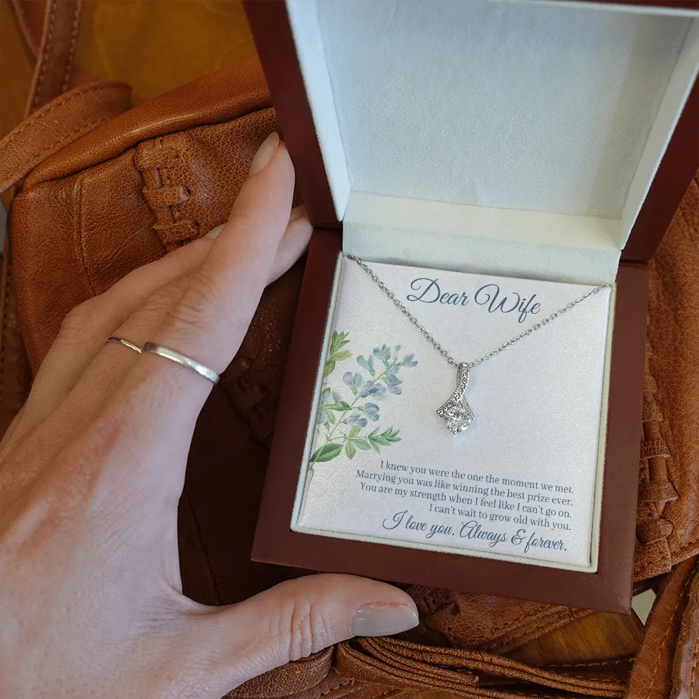 Dear Wife - I Knew You Were The One The Moment We Met! (Limited Time Offer) - Alluring Beauty Necklace