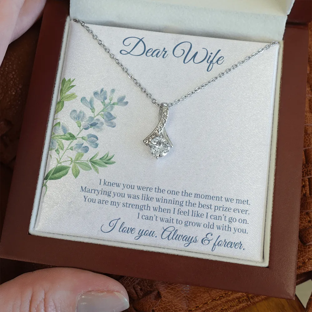 Dear Wife - I Knew You Were The One The Moment We Met! (Limited Time Offer) - Alluring Beauty Necklace