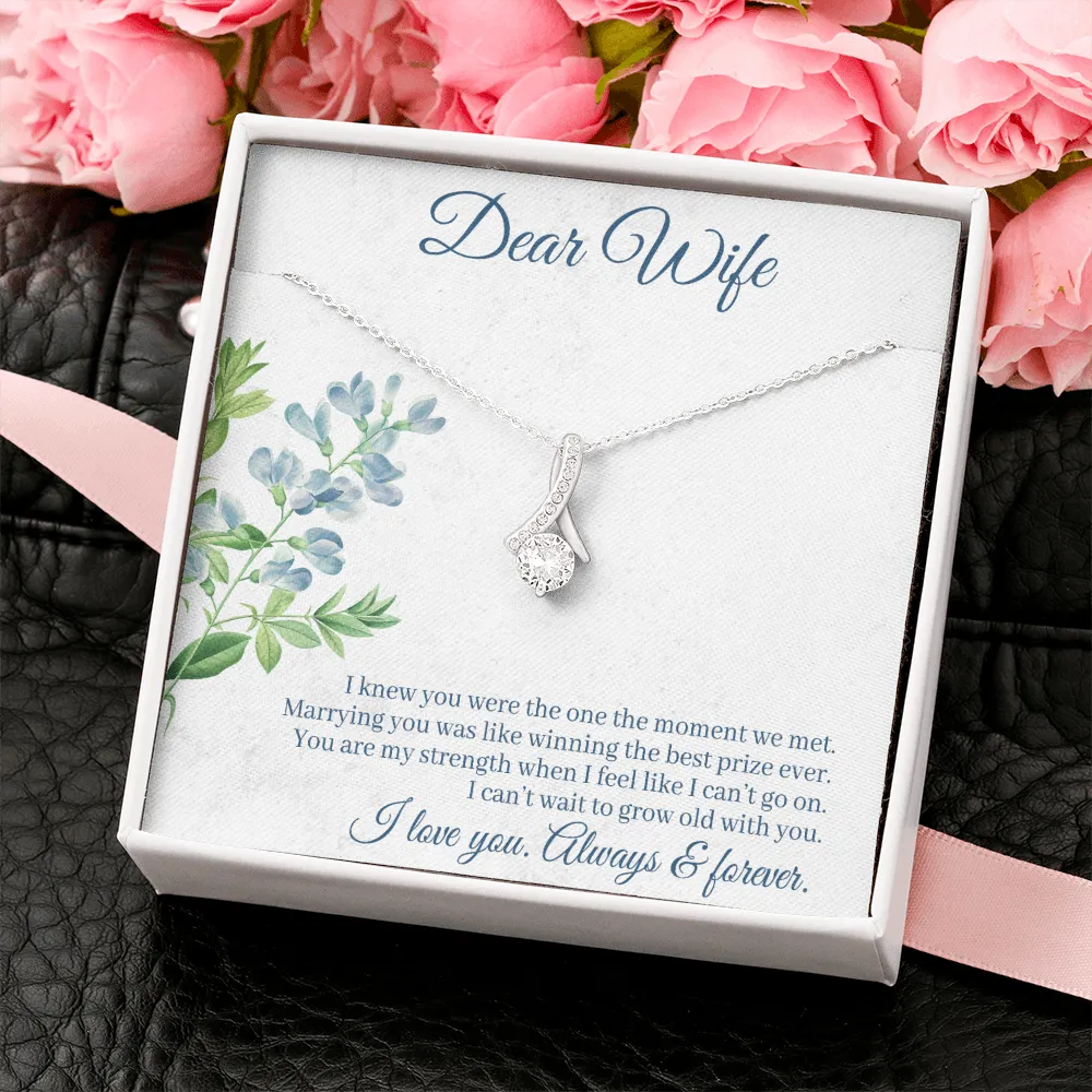 Dear Wife - I Knew You Were The One The Moment We Met! (Limited Time Offer) - Alluring Beauty Necklace