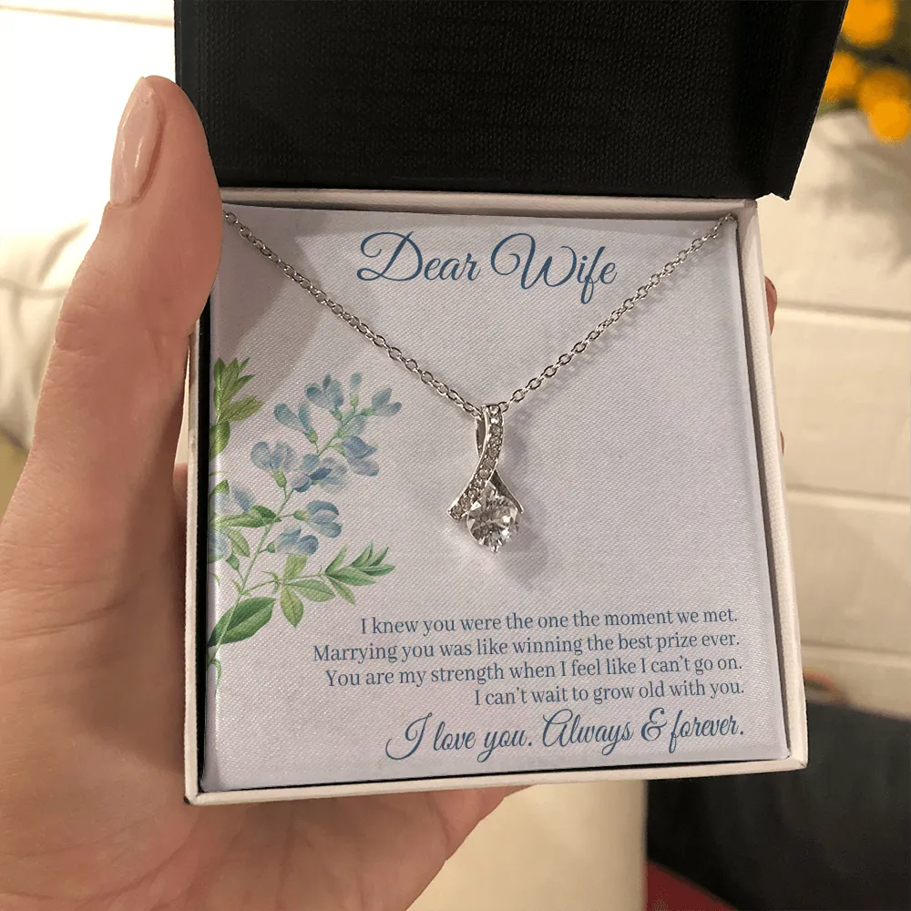 Dear Wife - I Knew You Were The One The Moment We Met! (Limited Time Offer) - Alluring Beauty Necklace