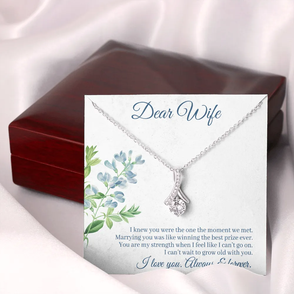 Dear Wife - I Knew You Were The One The Moment We Met! (Limited Time Offer) - Alluring Beauty Necklace