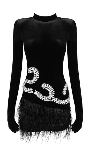 Embellished Velvet Feather Mini Dress In Black