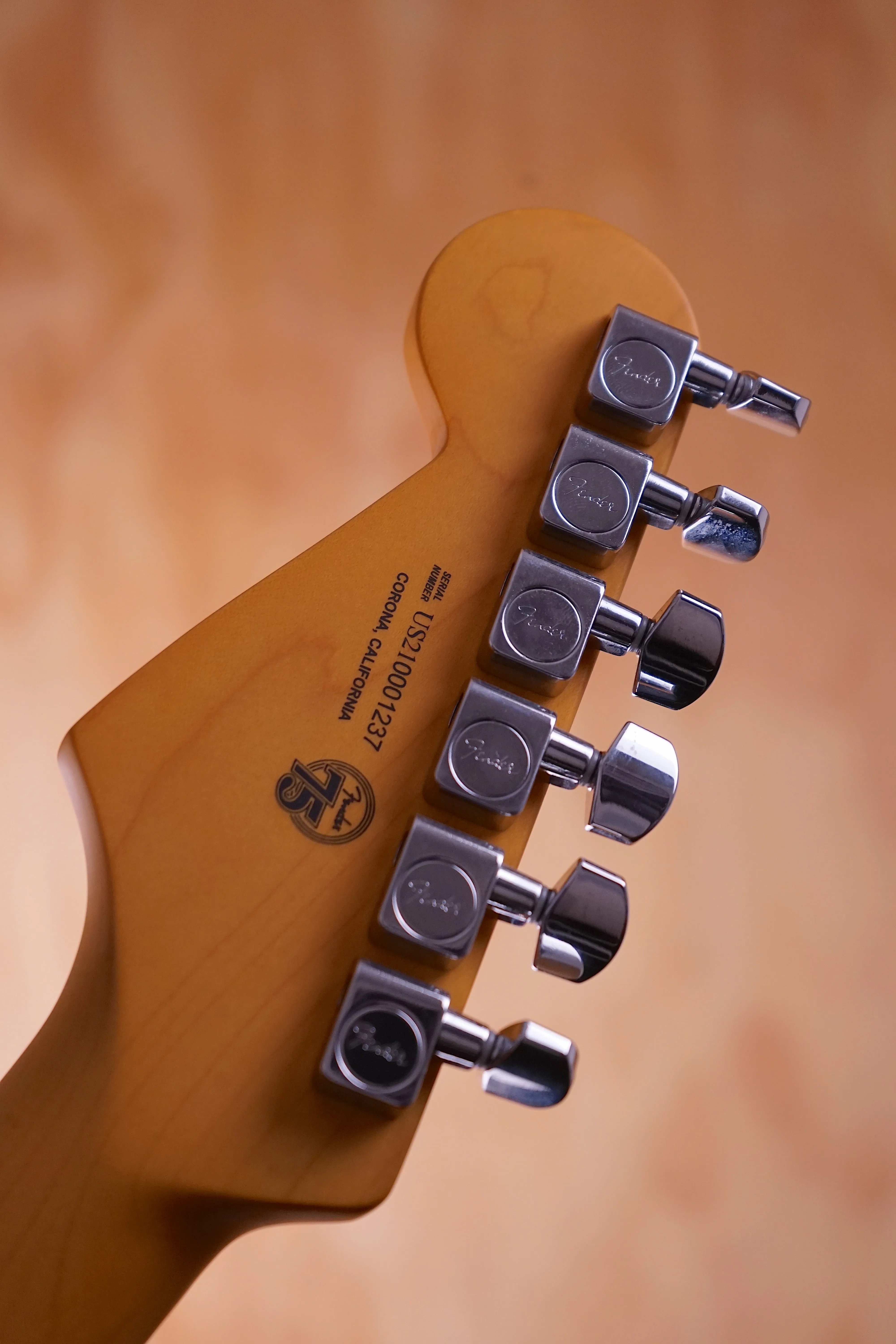 Fender American Professional II Roasted Pine, (Used)