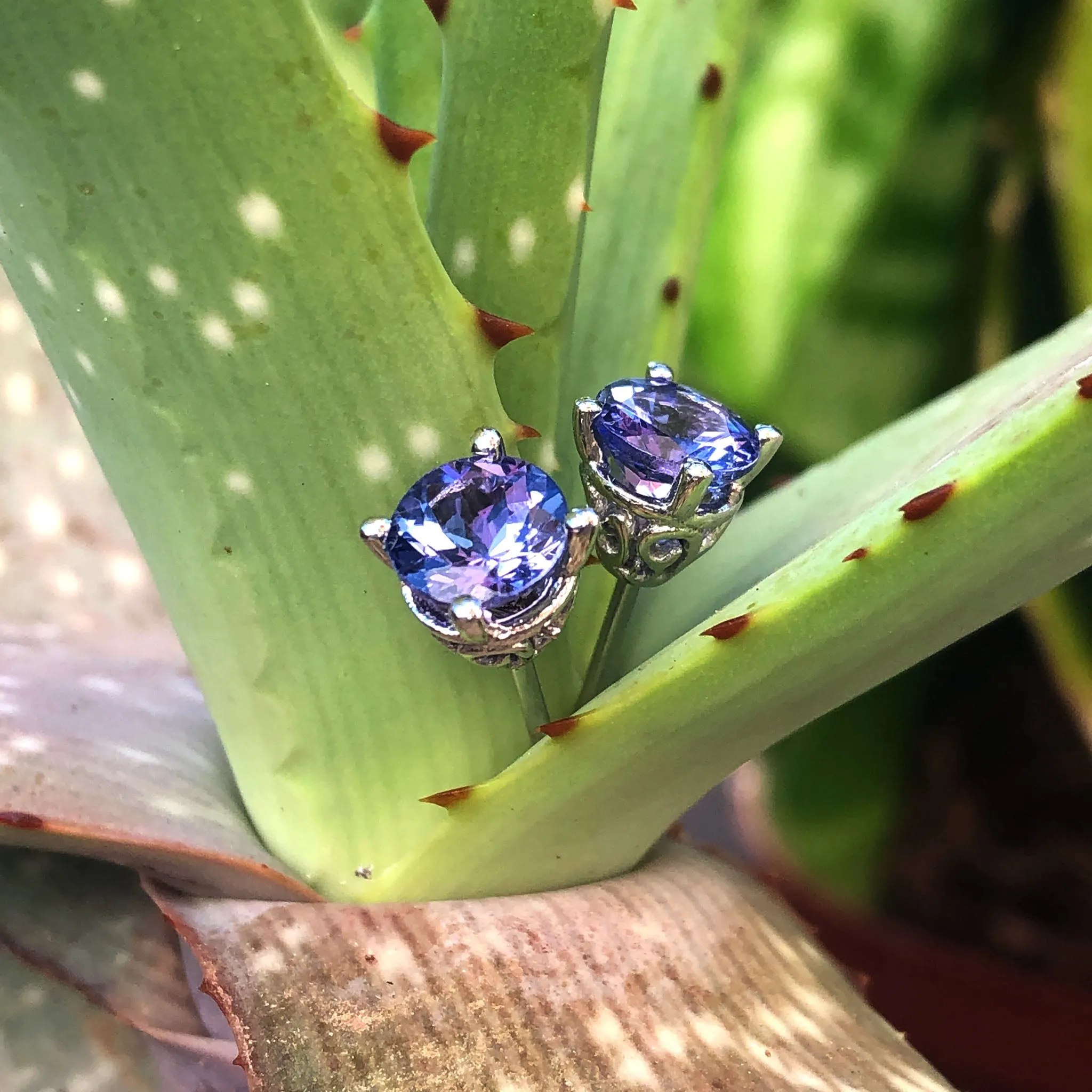 Filigree Round Tanzanite and White Gold Studs