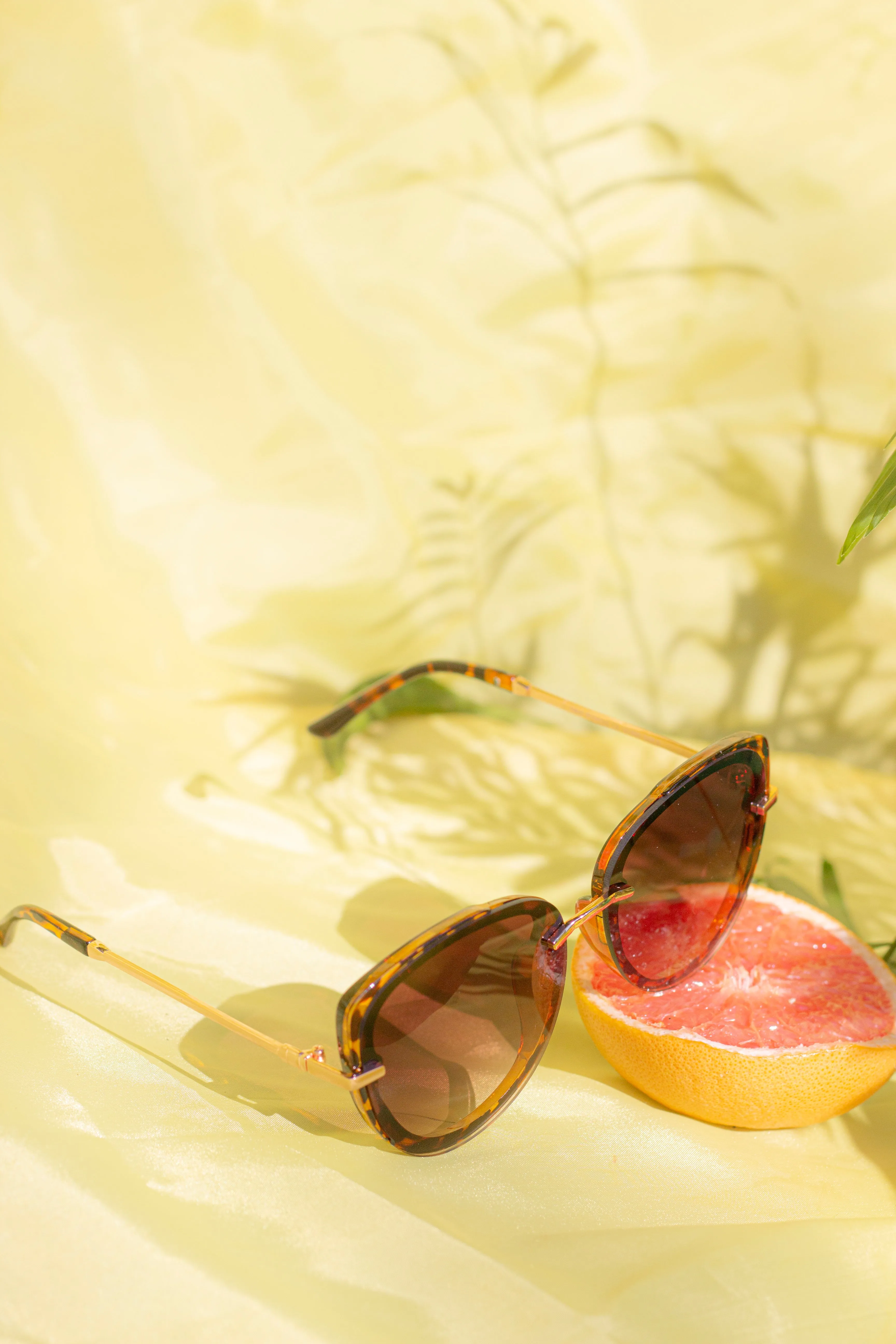 Front Lens Oversized Sunglasses