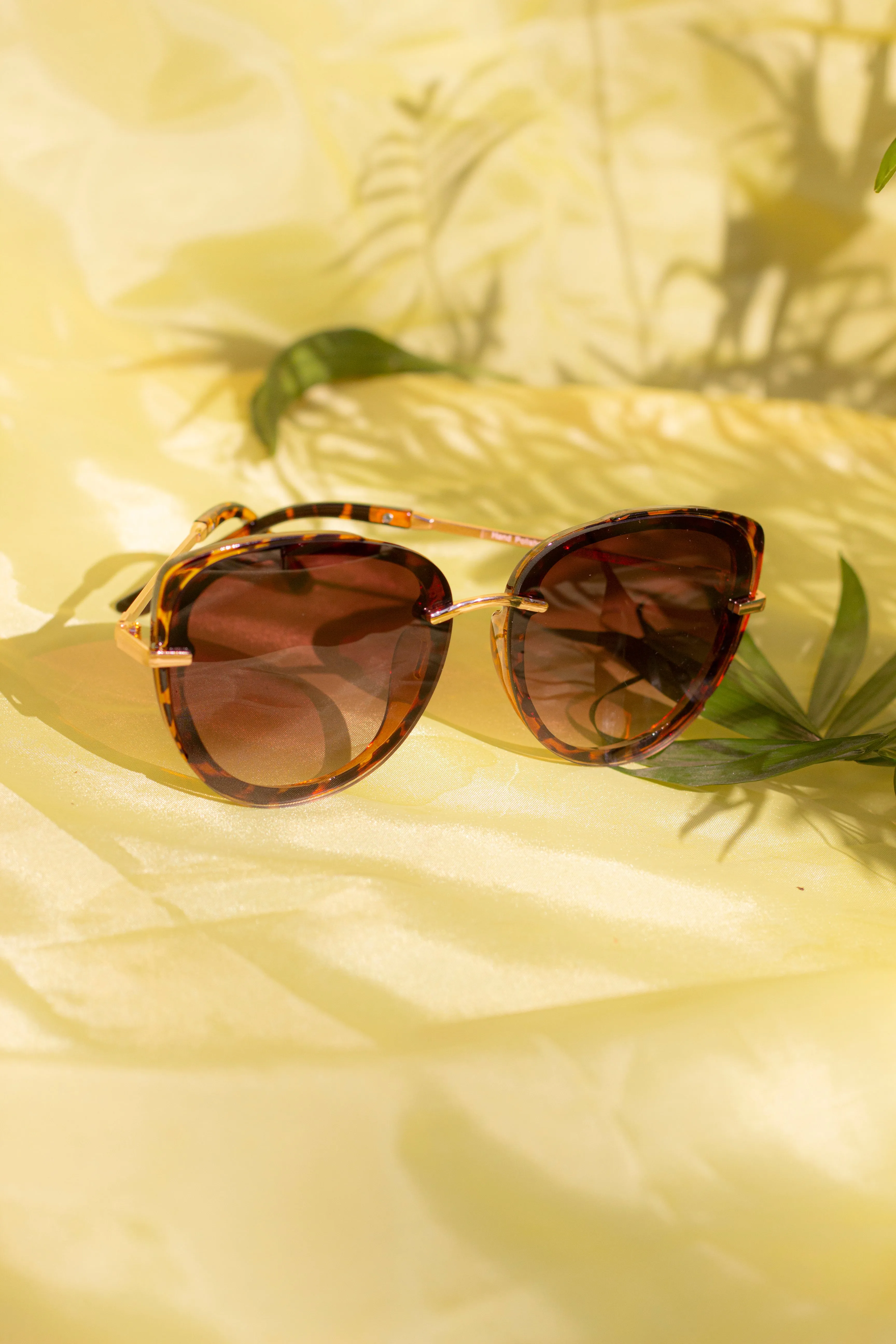 Front Lens Oversized Sunglasses