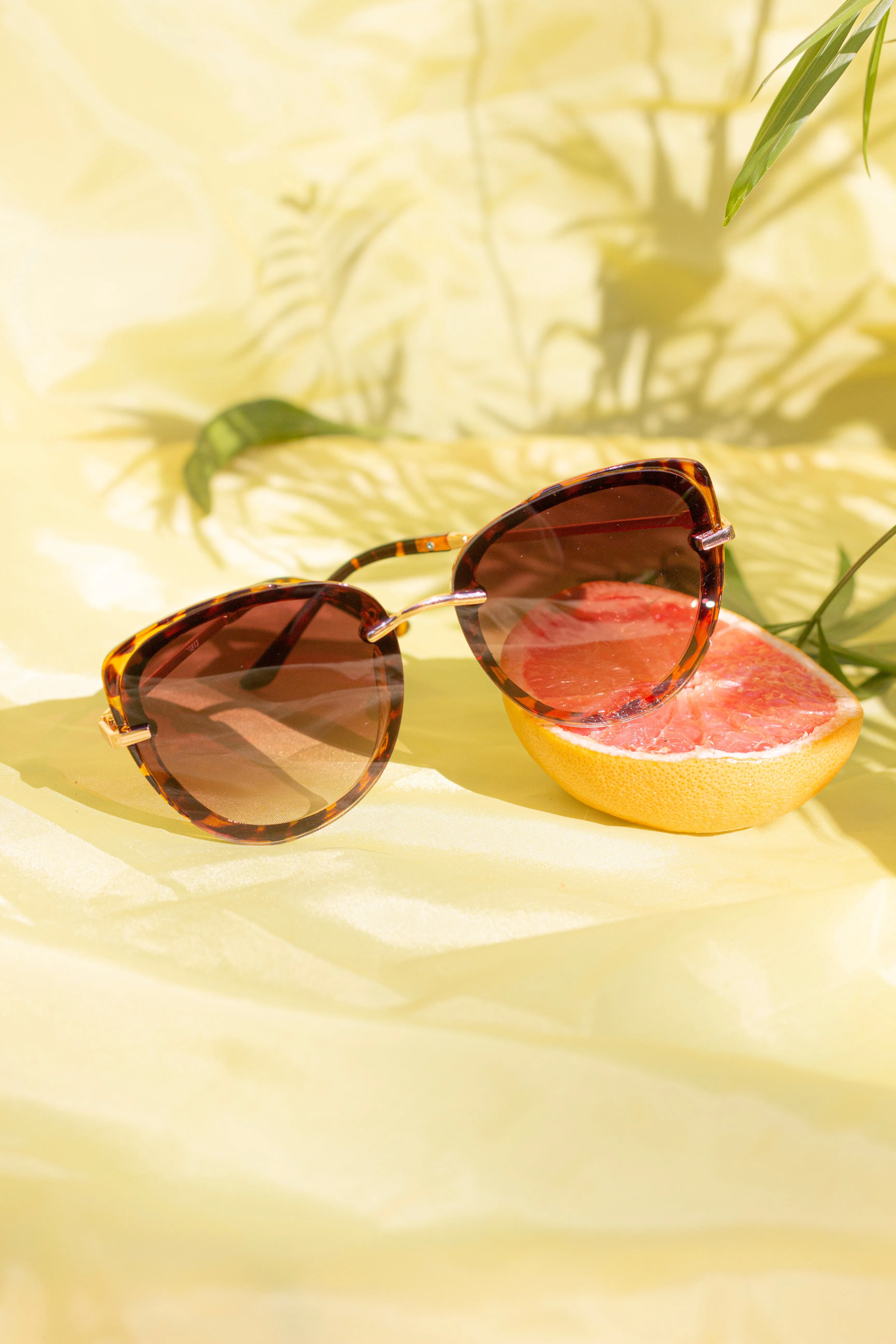 Front Lens Oversized Sunglasses