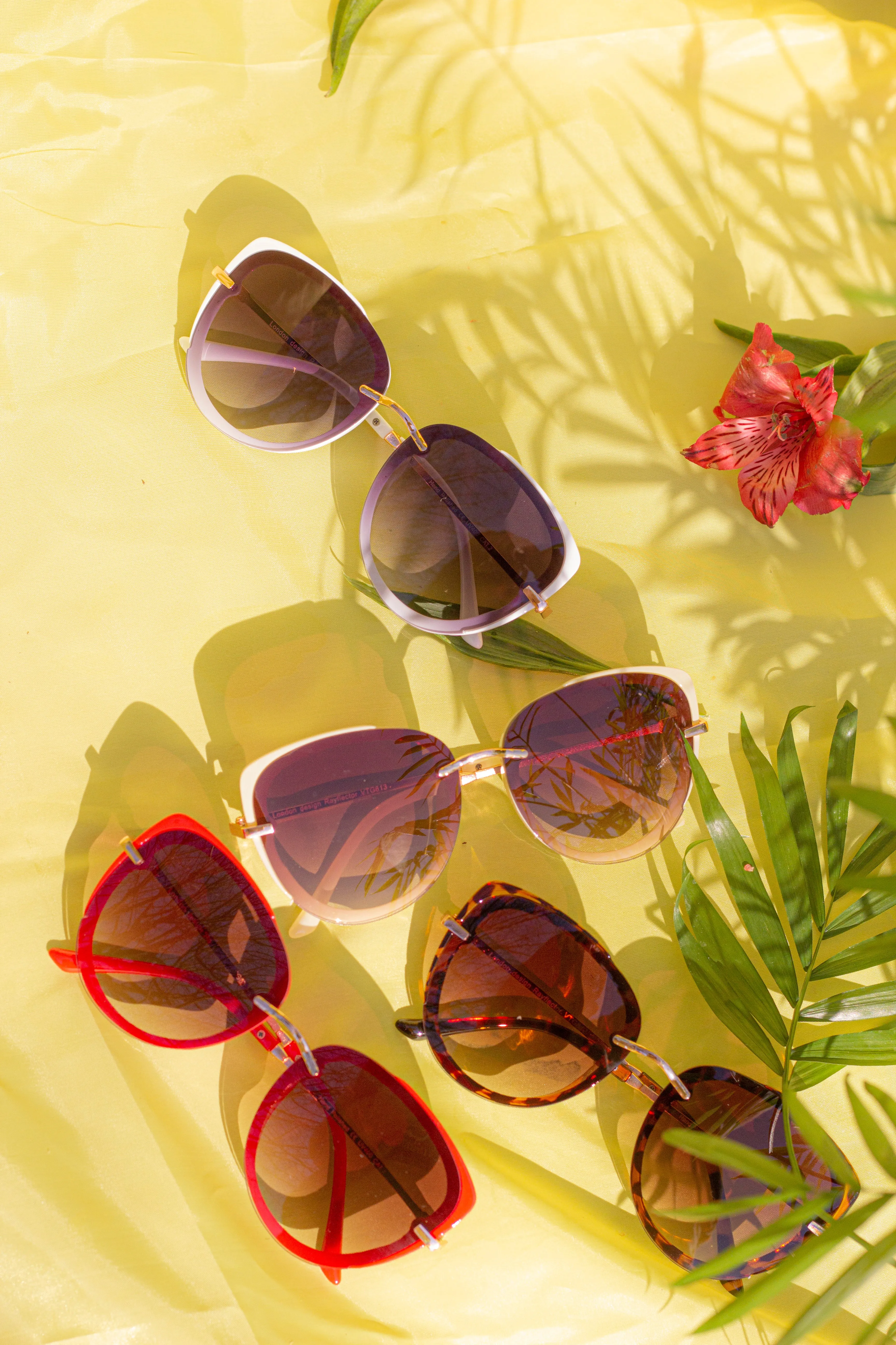 Front Lens Oversized Sunglasses