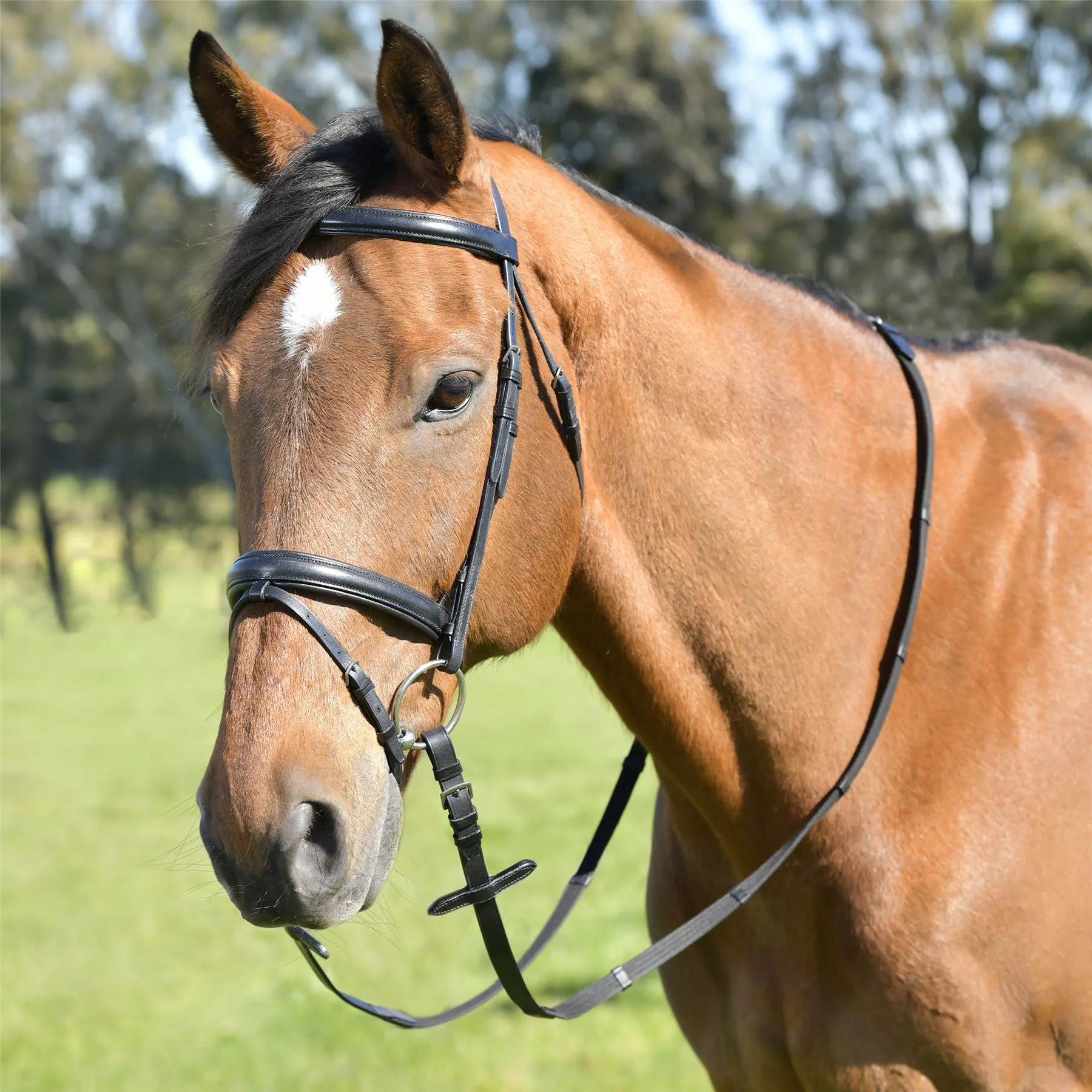 Kincade Classic Plain Raised Flash Bridle With Reins