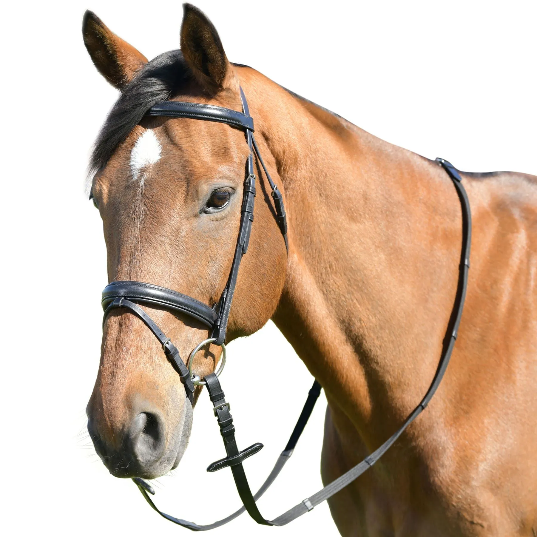 Kincade Classic Plain Raised Flash Bridle With Reins