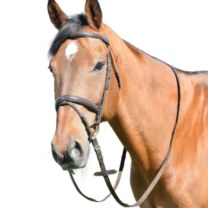 Kincade Classic Plain Raised Flash Bridle With Reins
