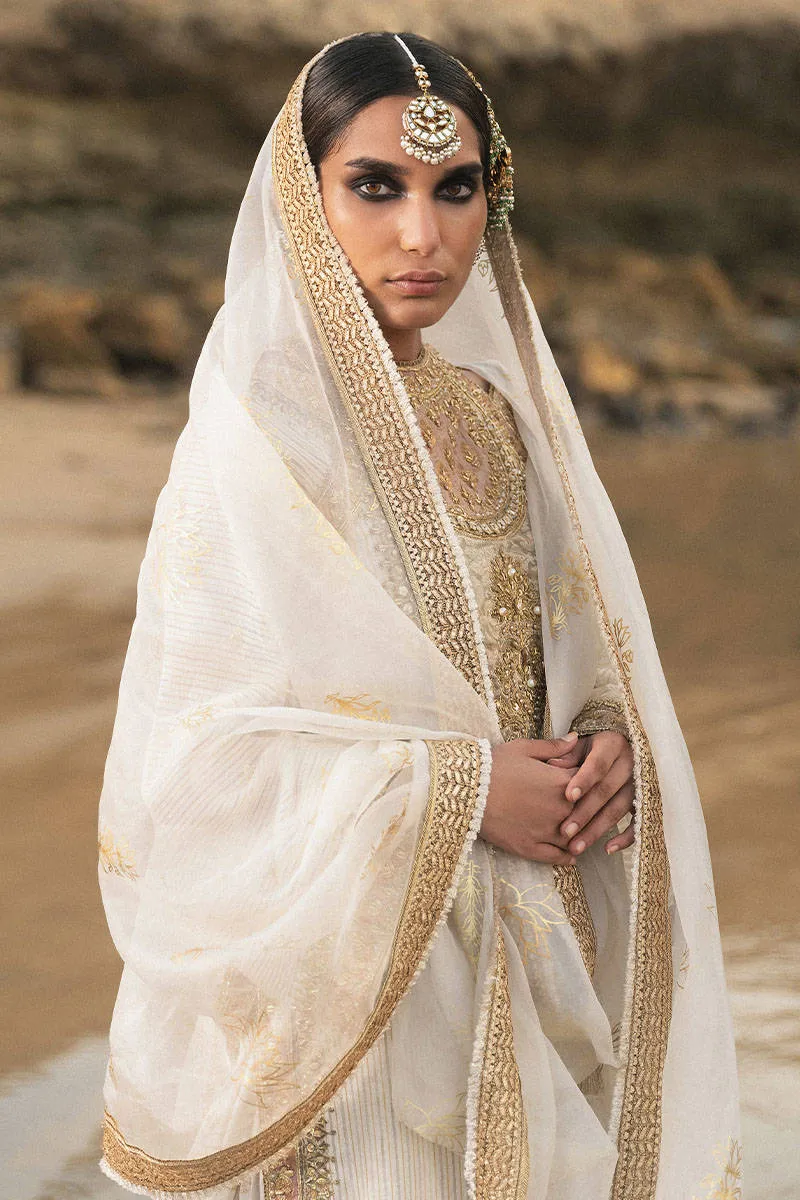 MOHSIN NAVEED RANJHA | GEHRAIYAAN; SHAADI COLLECTION | FARIDA