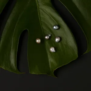 One-of-a-Kind Tahitian Pearl Studs | TPE-OOAK