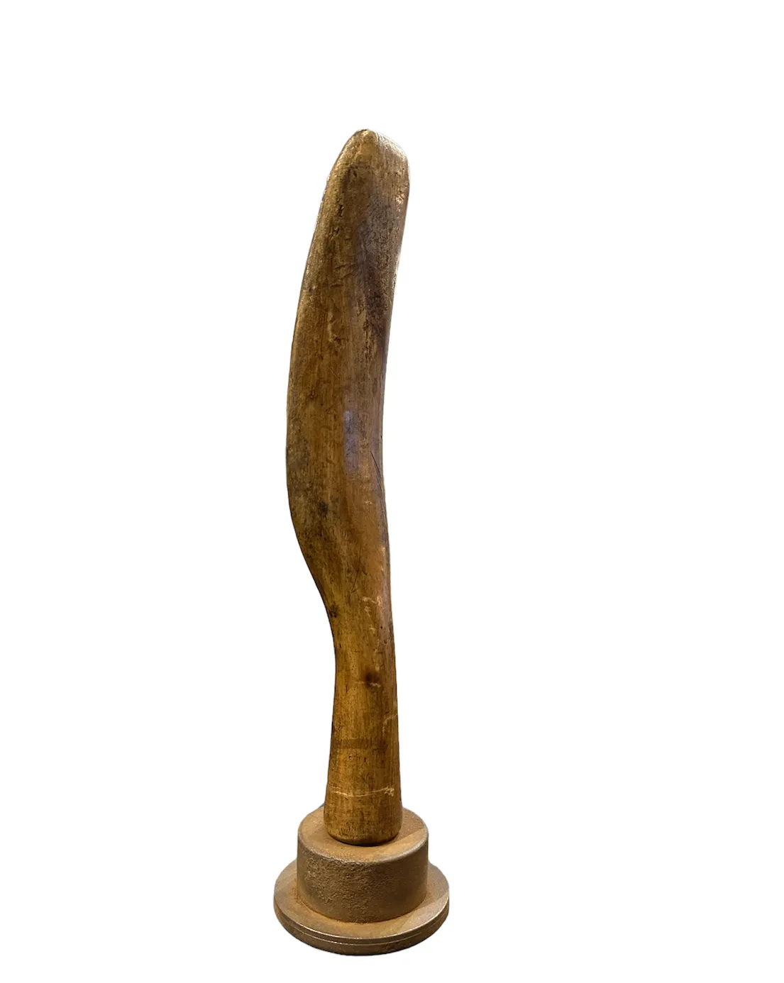 Primitive Wooden Tool from Belgium