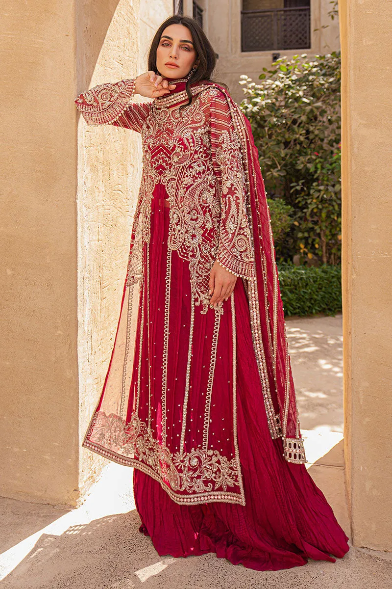 Red Pakistani Handwork Kameez and Crushed Trouser Dupatta