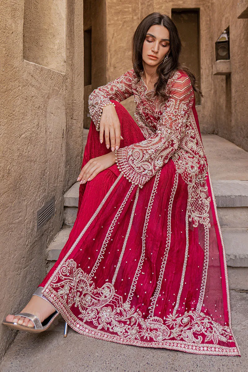 Red Pakistani Handwork Kameez and Crushed Trouser Dupatta