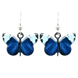 Sapho Longwing Butterfly