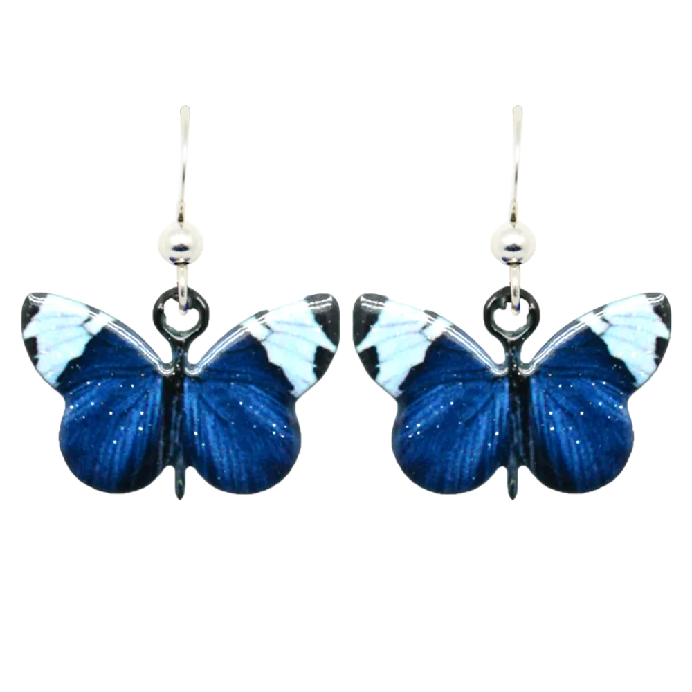 Sapho Longwing Butterfly