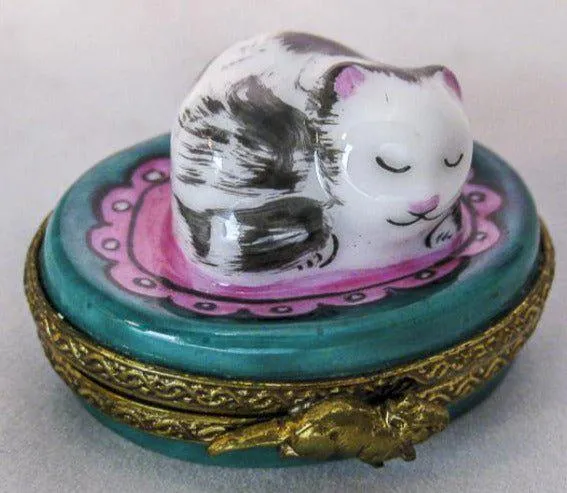 Small Kitty Cat on Round - Fast Shipping