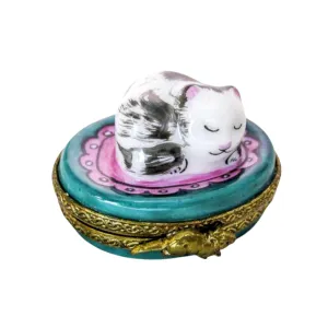 Small Kitty Cat on Round - Fast Shipping