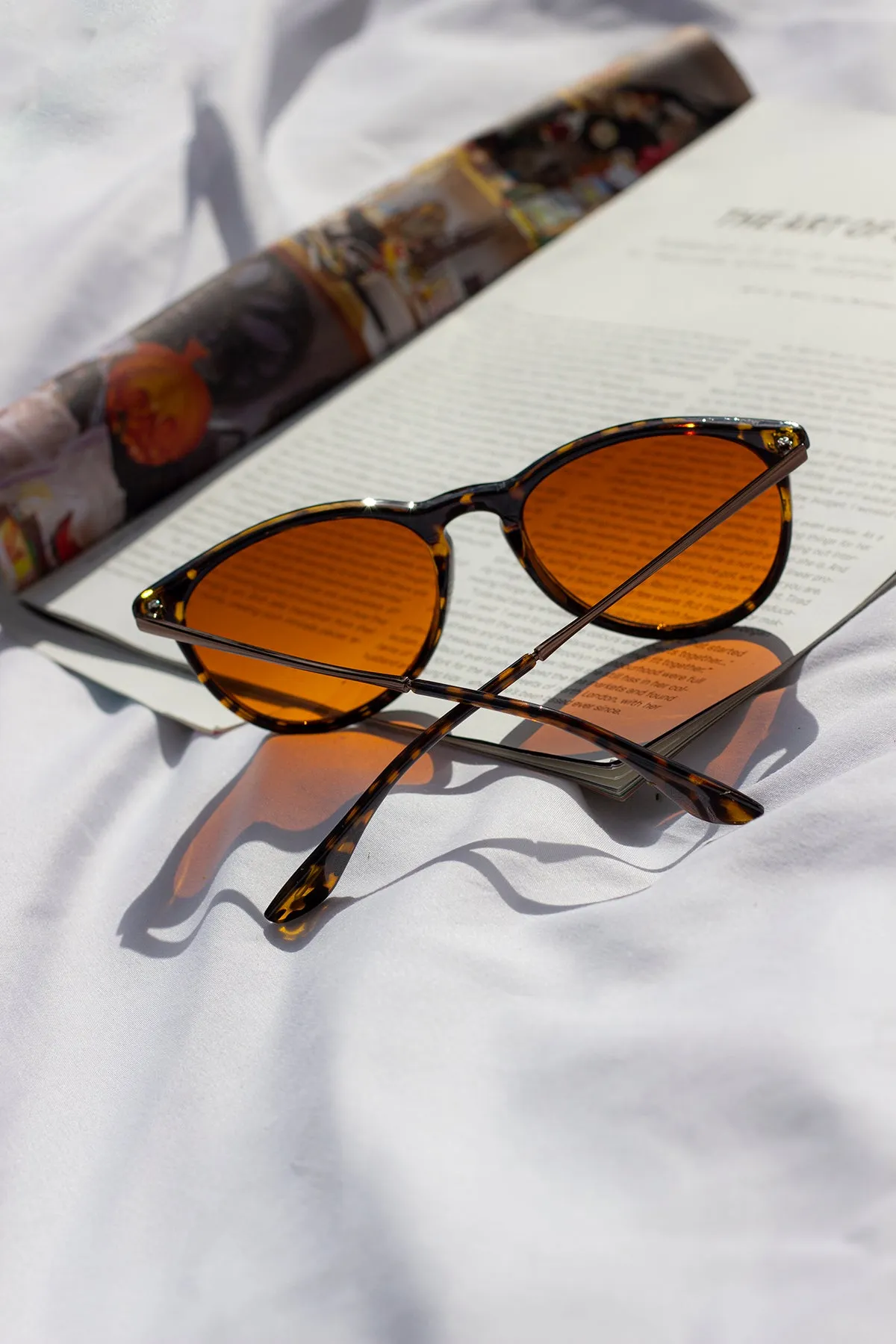Traditional Style Sunglasses
