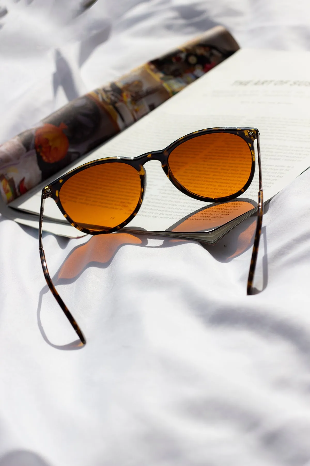 Traditional Style Sunglasses