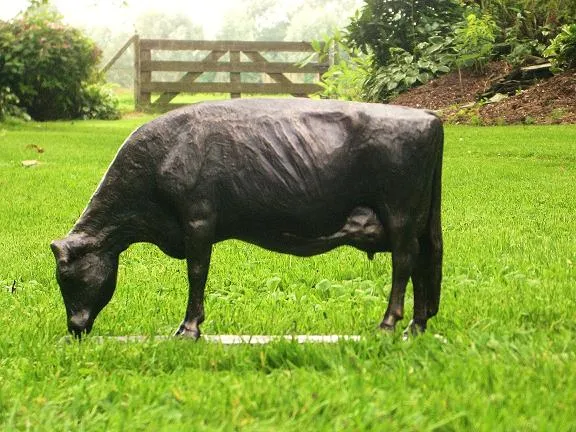True Type Holstein grazing