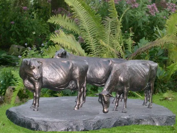 True Type Holstein looking backward