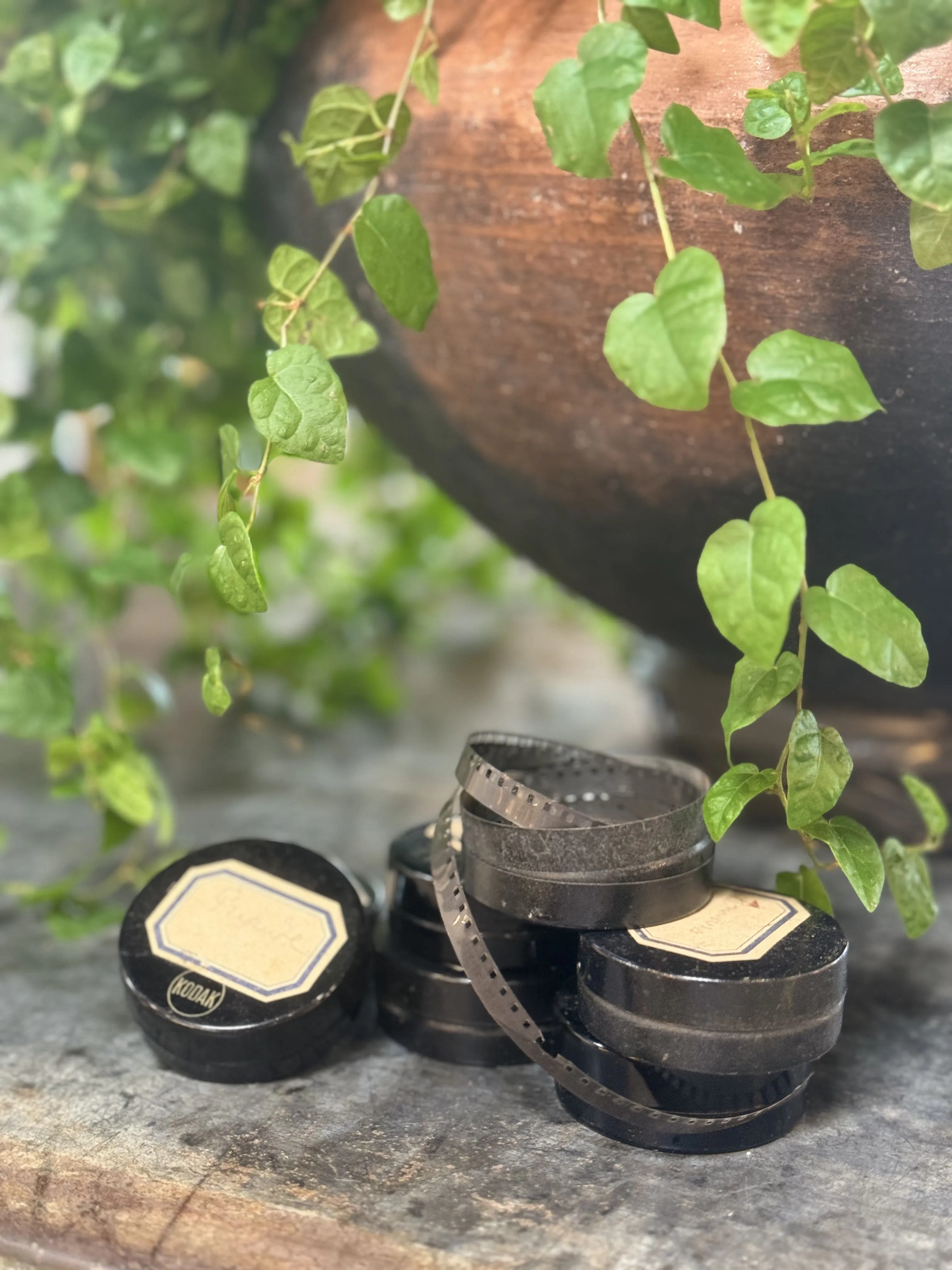 Vintage French Kodak Film Canister