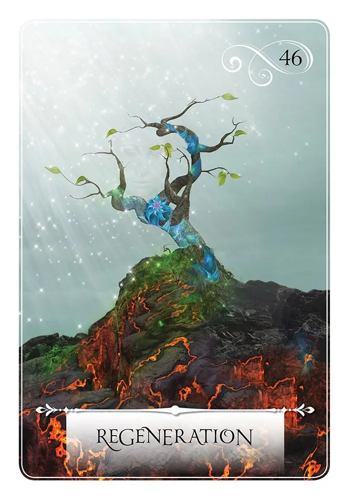 Wisdom of the Oracle Divination Cards Pocket
