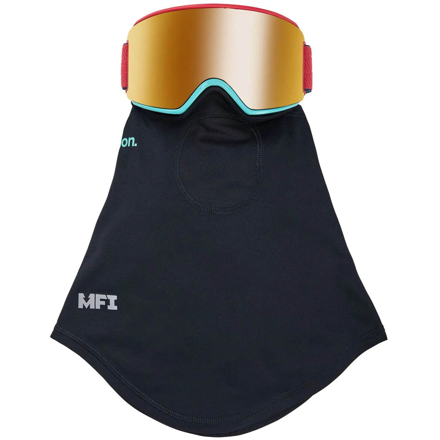 WM3 Snow Goggle